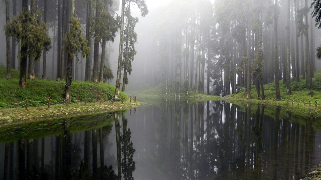 Misty forest landscape in Tukdah, India with reflective water and lush greenery.